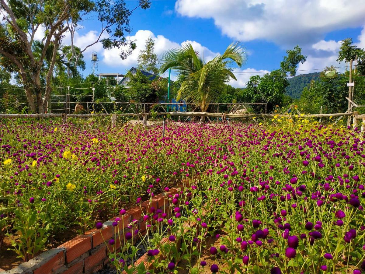 Bungalows Bãi Vòng Phú Quốc Ngoại thất bức ảnh